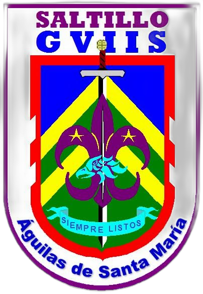 Escudo Grupo 7 Saltillo